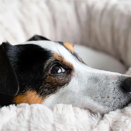 Hotel Ibis Budget Sud *